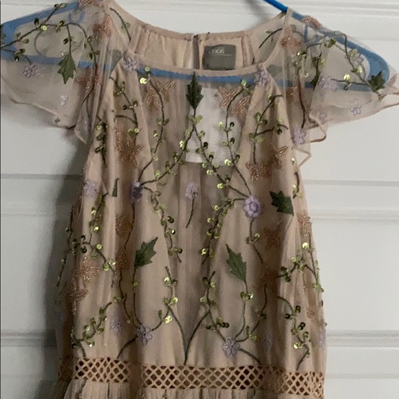 ASOS Design Petite Embroidered Floral dress
